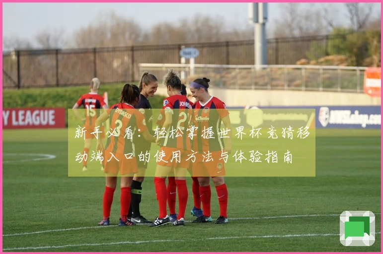 新手必看：轻松掌握世界杯竞猜移动端入口的使用方法与体验指南