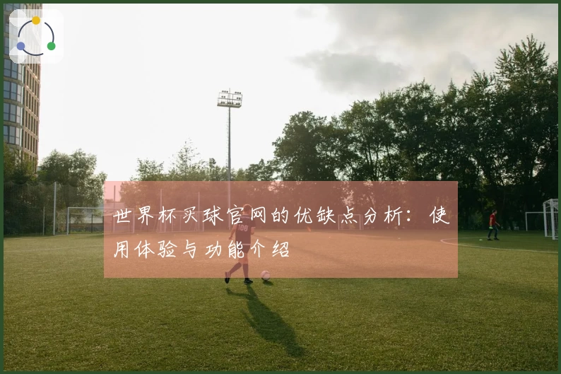 世界杯买球官网的优缺点分析：使用体验与功能介绍