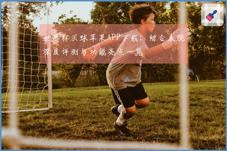 世界杯买球苹果APP下载：综合表现深度评测与功能亮点一览